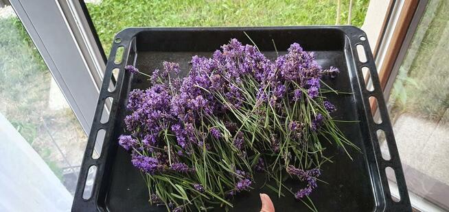 koszyki białe i cos wiecej