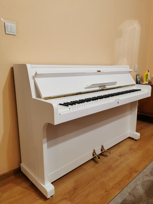 Strojenie pianin i fortepianów Świdnica, Dolny Śląsk