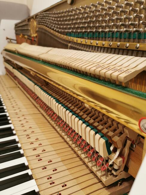 Strojenie pianin i fortepianów Świdnica, Dolny Śląsk