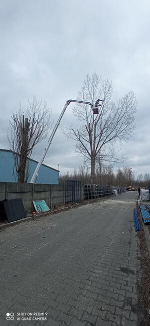 Wycinka drzew i prace ogrodowe- Zgierz i okolice. BanGarden