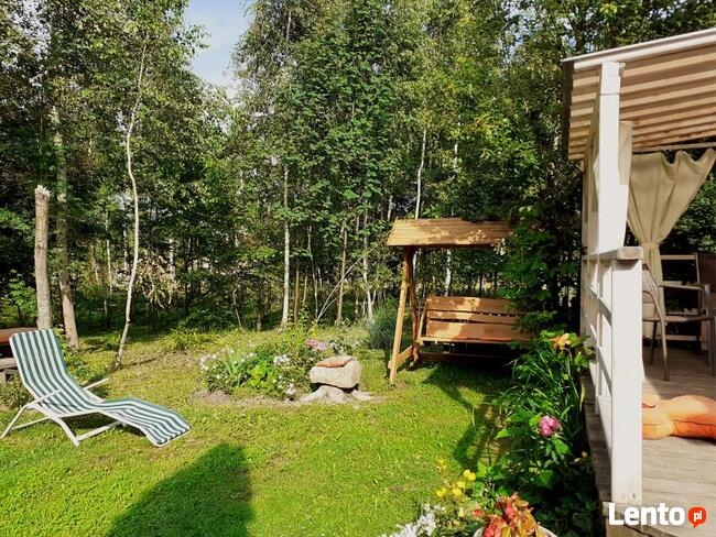 Agroturystyka Ekochatka Noclegi Św. Katarzyna (Chatka Skrza