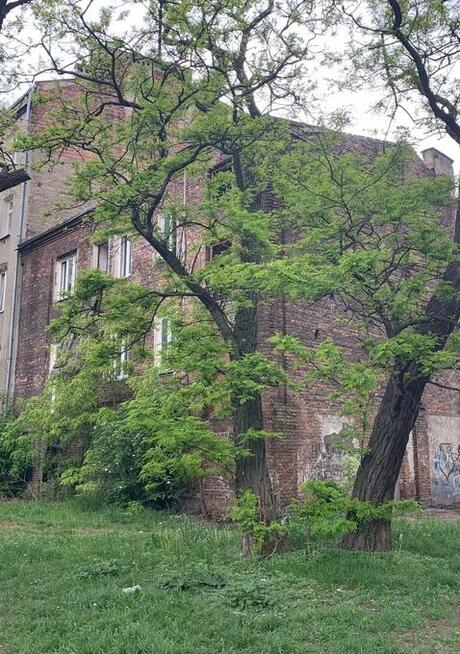 Wielorodzinna z kamienicą