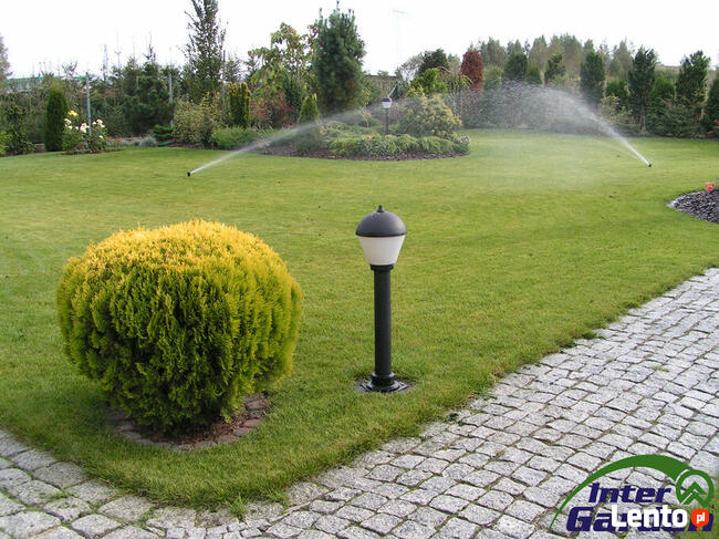 Pielęgnacja ogrodów: aeracja, wertykulacja, trawa z rolki