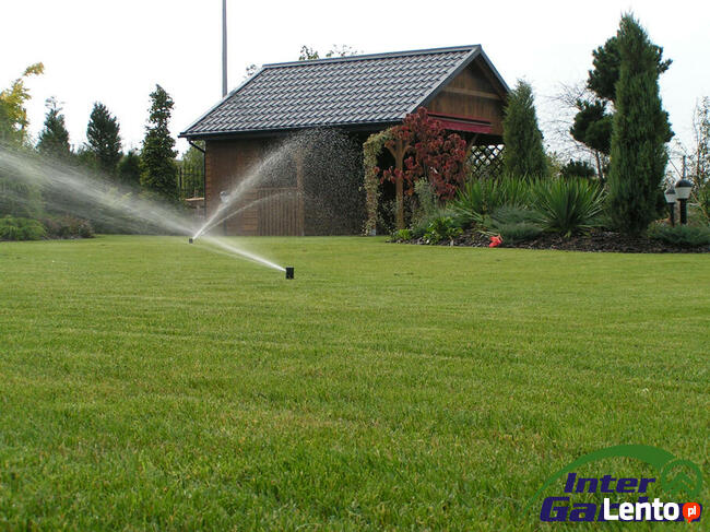 Pielęgnacja ogrodów: aeracja, wertykulacja, trawa z rolki