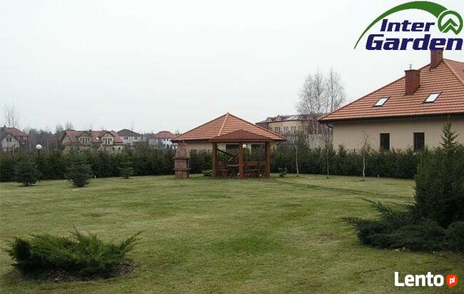 InterGarden Usługi porządkowo-ogrodnicze 504-102-225