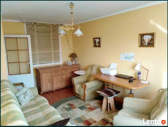 Mieszkanie na wynajem