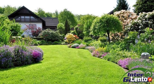 InterGarden Usługi porządkowo-ogrodnicze 504-102-225