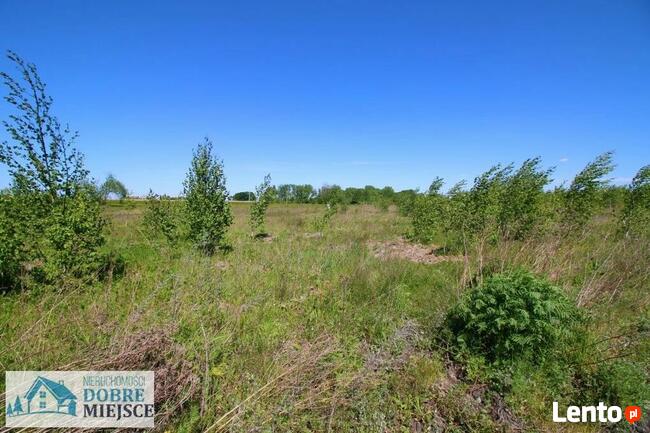 Działka budowlana Aleksandrowo gm. Dobrcz