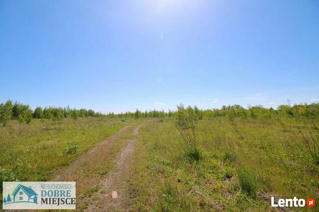 Działka budowlana Aleksandrowo gm. Dobrcz