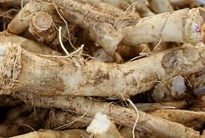 Chrzan Piękna Sadzonka Najlepsza Polska Odmiana 4L