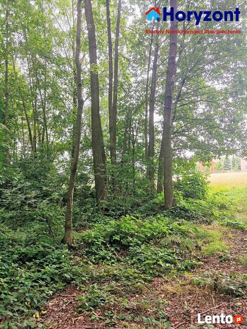 Duża działka pod Opocznem