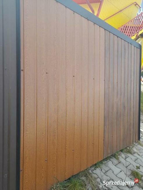 Blacha trapezowa T-8 PODBITKA, ELEWACJA, Multi gros, Złoty dąb