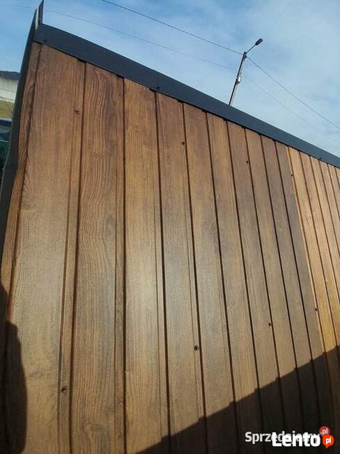 Blacha trapezowa T-8 PODBITKA, ELEWACJA, Multi gros, Złoty dąb