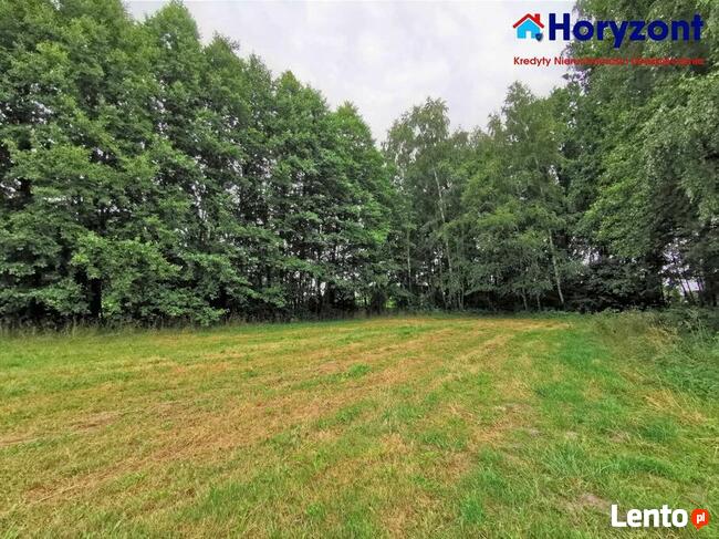 Duża działka pod Opocznem