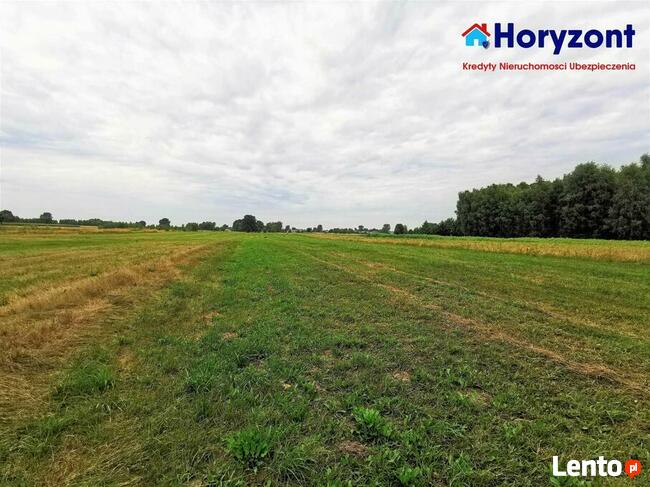 Duża działka pod Opocznem