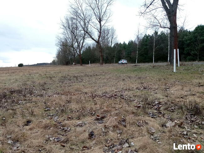 Osiedle Zielona Dolina, działka budowlana, Gubin-Drzeńsk Mały