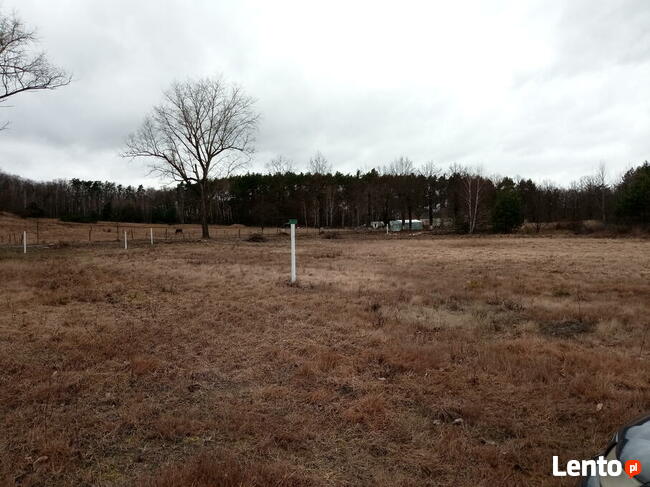 Osiedle Zielona Dolina, działka budowlana, Gubin-Drzeńsk Mały
