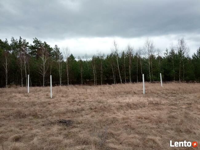 Osiedle Zielona Dolina, działka budowlana, Gubin-Drzeńsk Mały