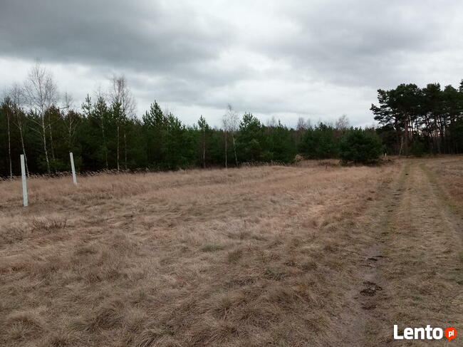Osiedle Zielona Dolina, działka budowlana, Gubin-Drzeńsk Mały
