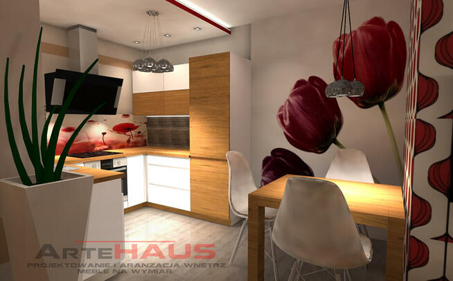 Projektant Wnętrz 50zł za m2