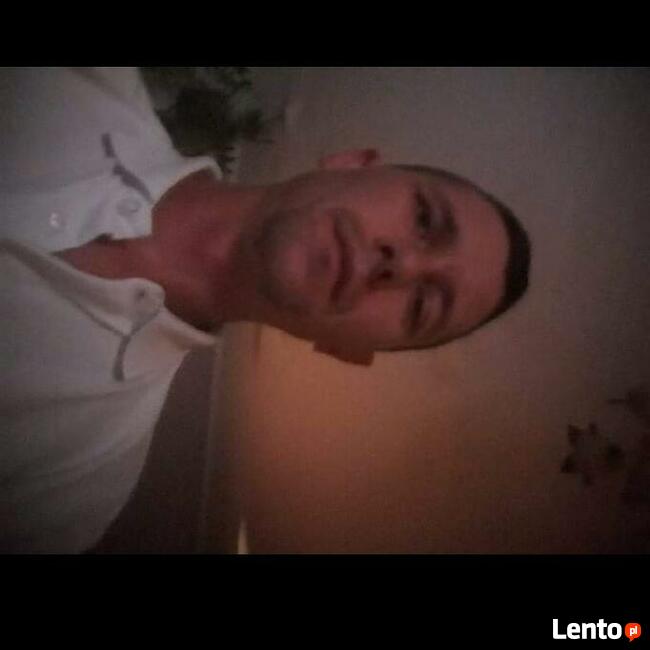 Stałego związku szukam