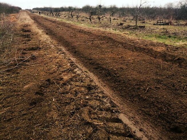 Oczyszczanie działek Mulczowanie Frezowanie Karczowanie