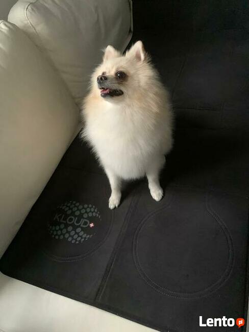 KLOUD VET SET ludzie zwierzęta 2w1 (pole elektromagnetyczne)