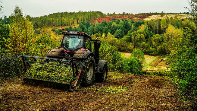 Oczyszczanie działek Mulczowanie Frezowanie Karczowanie