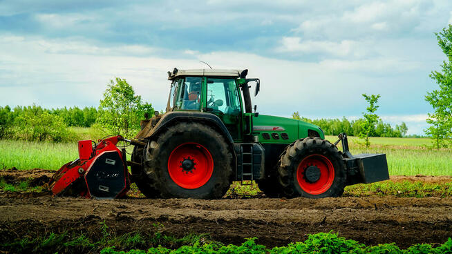Oczyszczanie działek Mulczowanie Frezowanie Karczowanie