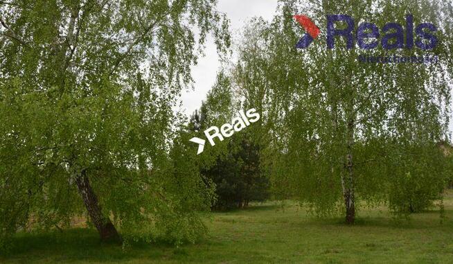 Działka z domem 180 m2, możliwość podziału działki