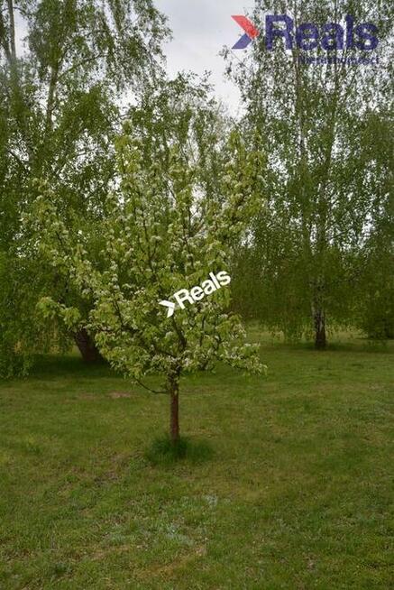 Działka z domem 180 m2, możliwość podziału działki