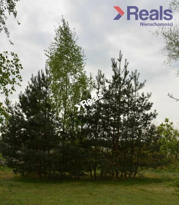 Działka z domem 180 m2, możliwość podziału działki