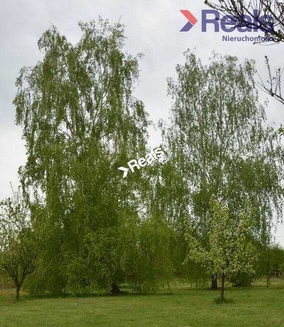 Działka z domem 180 m2, możliwość podziału działki