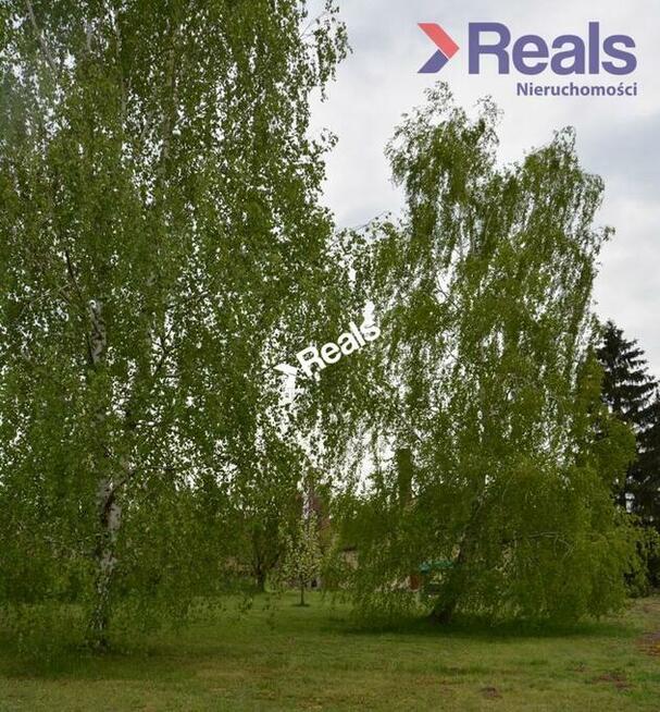 Działka z domem 180 m2, możliwość podziału działki