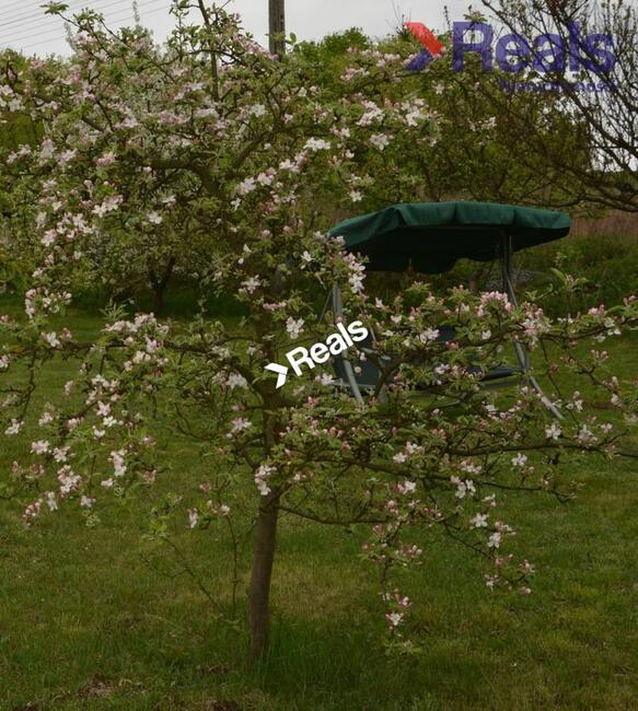 Działka z domem 180 m2, możliwość podziału działki