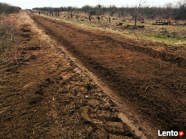 Oczyszczanie działek Mulczowanie Frezowanie Karczowanie
