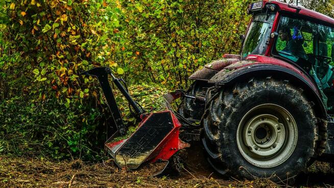 Oczyszczanie działek Mulczowanie Frezowanie Karczowanie