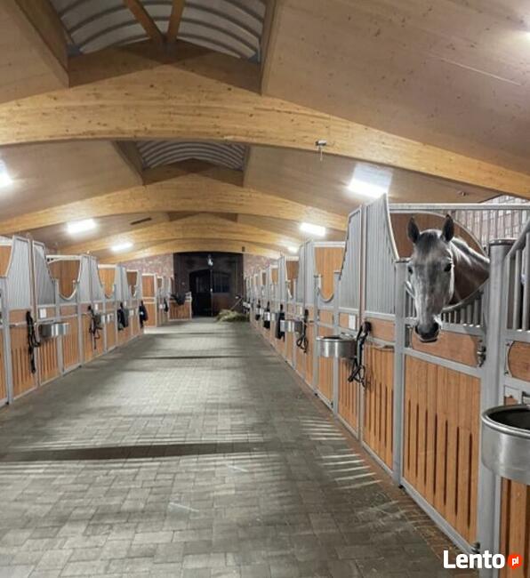 KLOUD VET SET ludzie zwierzęta 2w1 (pole elektromagnetyczne)