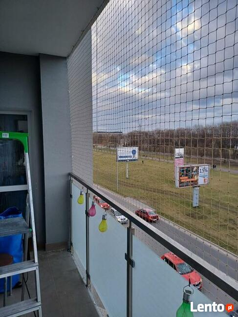 Siatka dla kota, na balkon, na ptaki/przeciw ptakom/na gołęb
