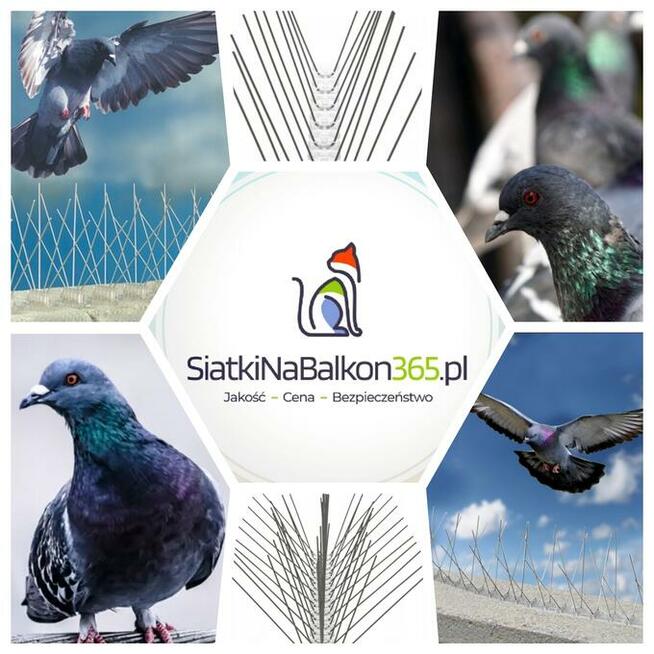 Siatka dla kota, na balkon, na ptaki montaż