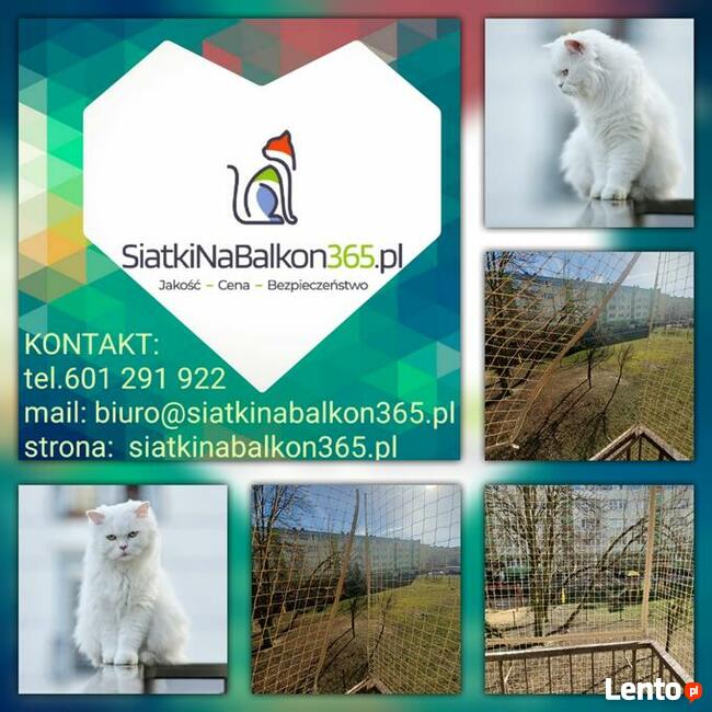 Siatka dla kota, na balkon, na ptaki/przeciw ptakom/na gołęb
