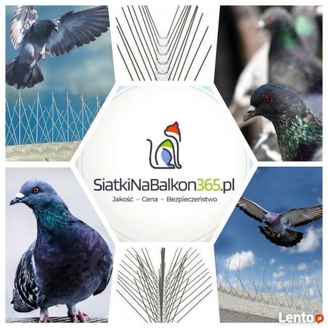 Siatka ochronna dla kota, na balkon, na ptaki montaż