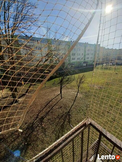 Siatka ochronna dla kota, na balkon, na ptaki montaż