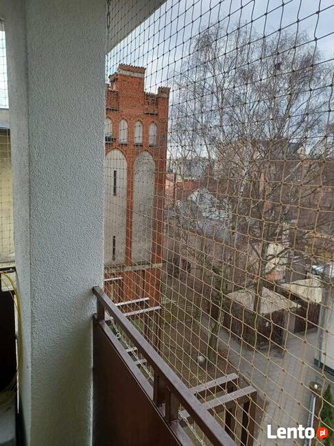 Siatka ochronna dla kota, na balkon, na ptaki montaż