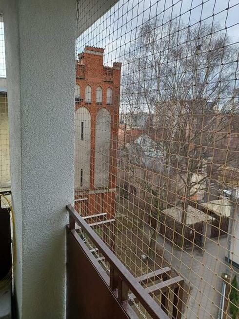 Siatka dla kota, na balkon, na ptaki montaż