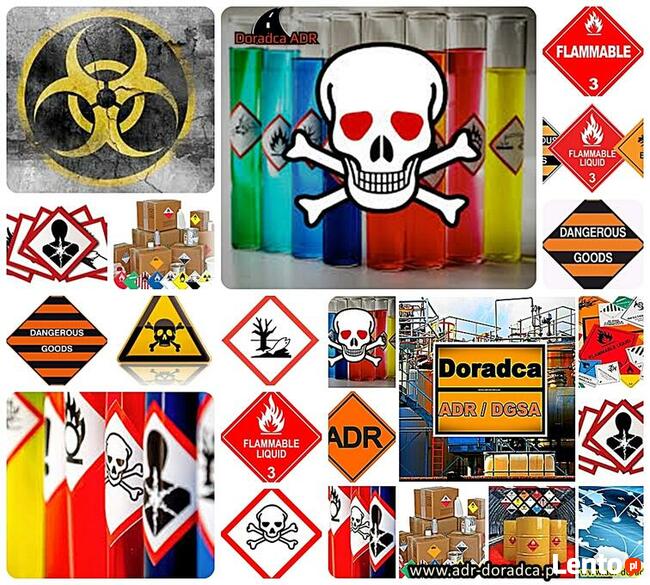ADR DGSA RID IMDG Doradca rozliczanie tacho Stalowa Wola