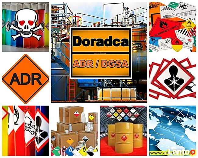 Doradca ADR DGSA RID IMDG rozliczanie tacho Radom