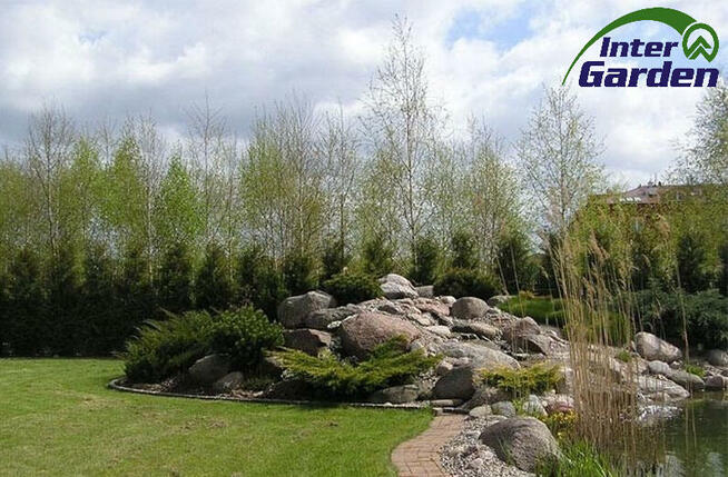 Prace, usługi w ogrodzie, na działce, trawnik, zieleń