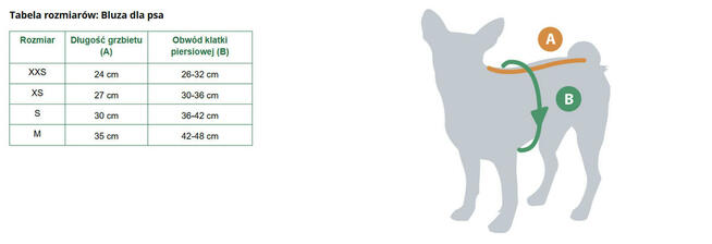 Bluza dla Yorka pierrotmoda.pl