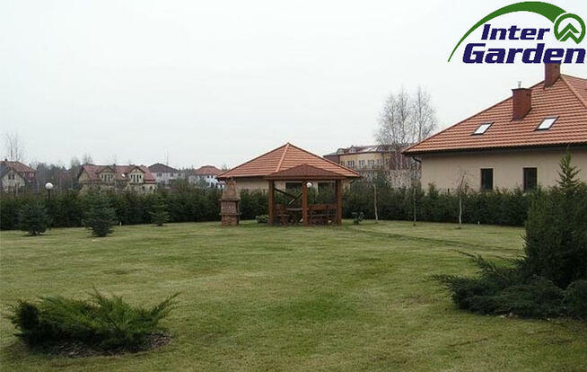 Prace, usługi w ogrodzie, na działce, trawnik, zieleń